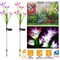 Edge Collections – Solar Garden Lily Flower LED Pathway Stake Lights with 7-Color Changing (IP65) – 2 Pieces